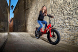 balade en fat-bike électrique ciclone passion